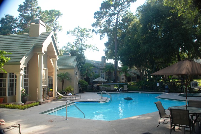 Pool & Pool Area