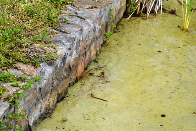 Concrete Seawall w Fieldstone cap