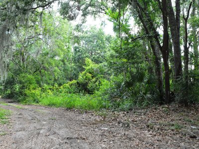 LAKEFRONT LOT IN ERROL ESTATE