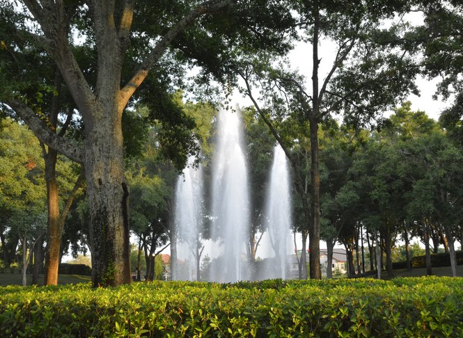 ENJOY THE POOLSIDE LAKEFRONT!