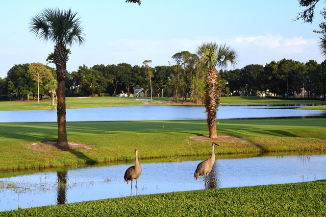 ENJOY THE POOLSIDE LAKEFRONT!