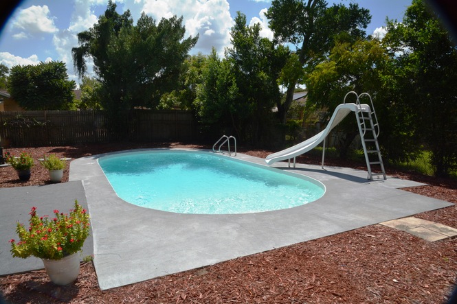 Pool and Yard