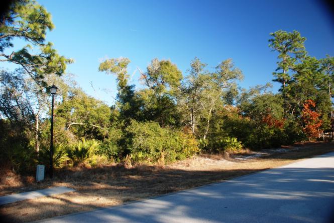 Lake Mary Carrisbrooke Vacant Residential Lot Available ! | Lake Mary Property Listing | Lake Mary Florida Housing Prices