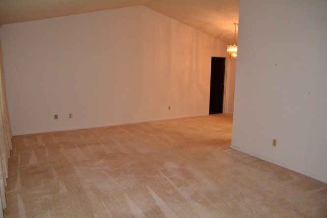 Living Room w Vaulted Ceilings
