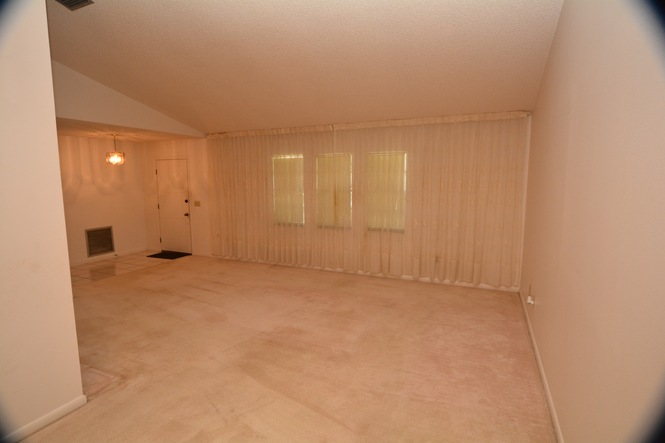 Living Room w Vaulted Ceilings