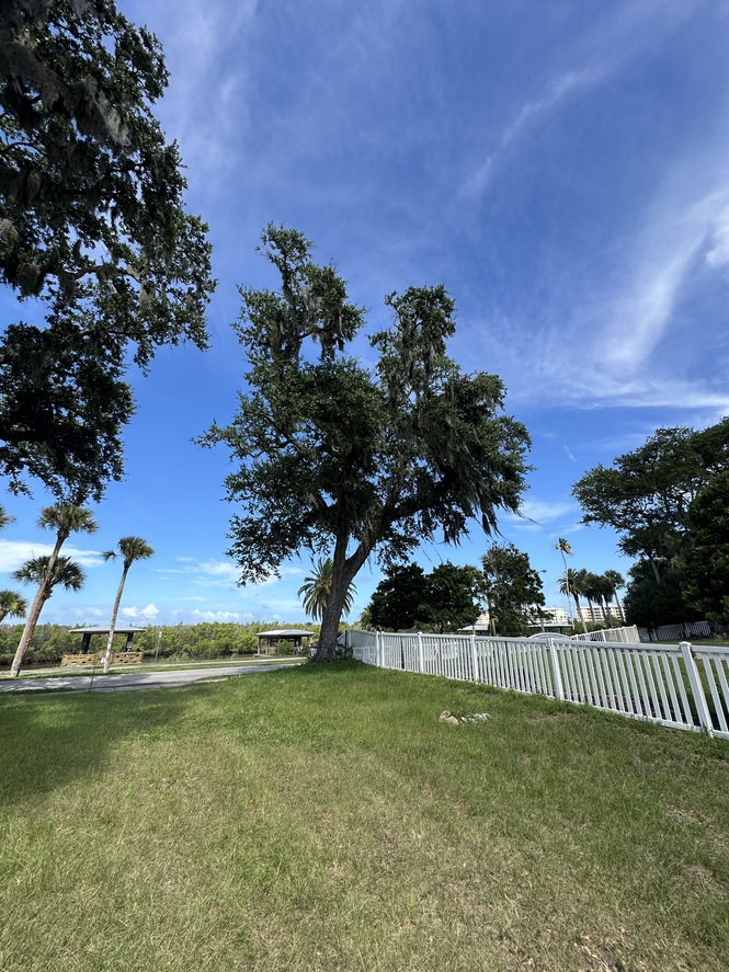 VACANT WANTERFRONT LOT WITH DOCK IN NEW SMYRNA BEACH FLORIDA