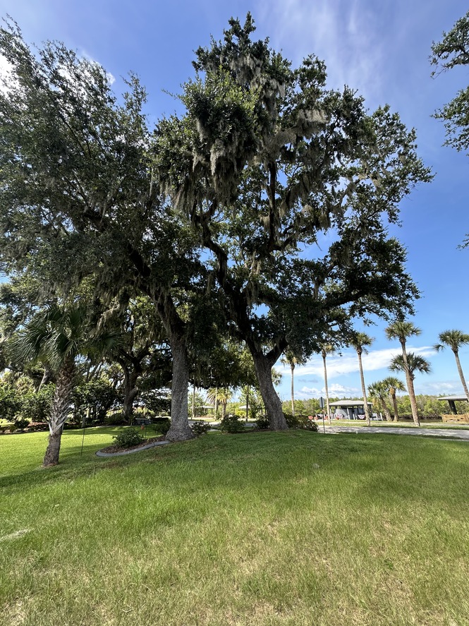 VACANT WANTERFRONT LOT WITH DOCK IN NEW SMYRNA BEACH FLORIDA