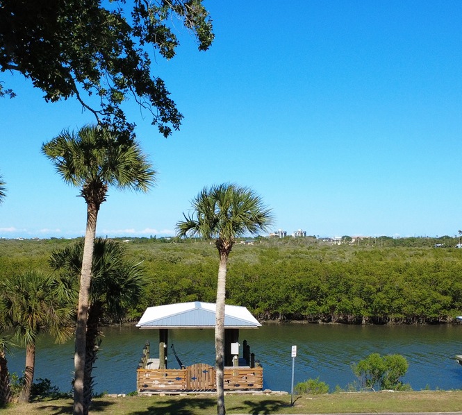 Dock Overlook