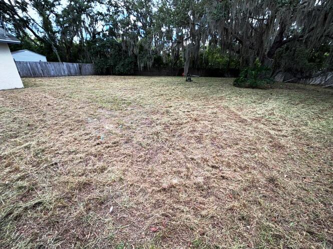Backyard
