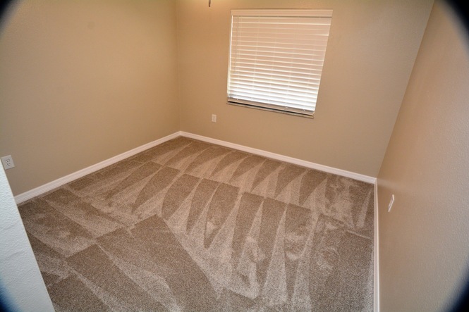 COMPLETELY RENOVATED FOUR BEDROOM TWO BATH POOL HOME